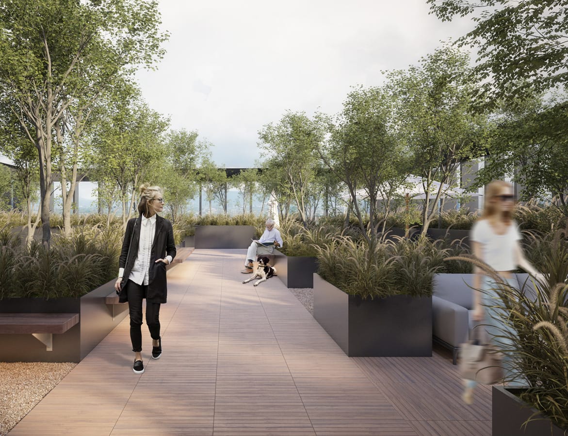 Roof Garden Elysian